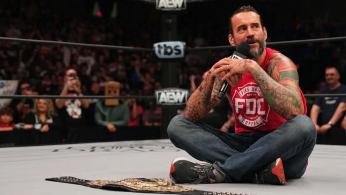 CM Punk Fallout