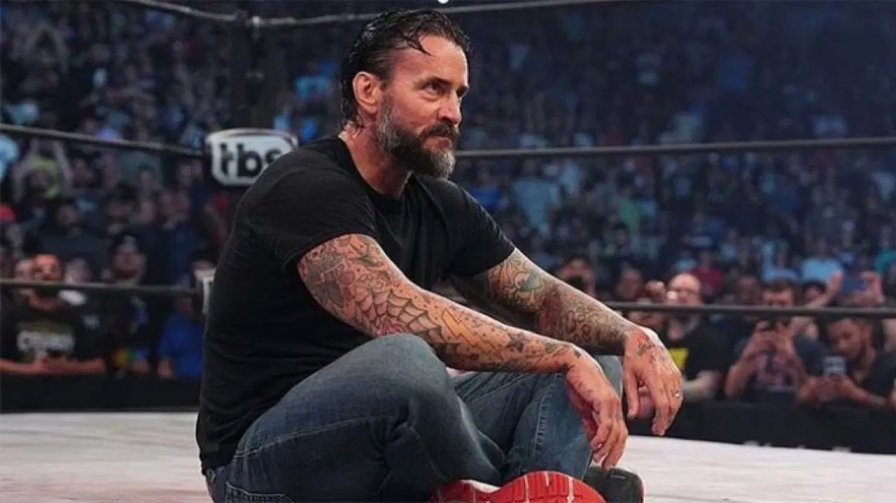 CM Punk Fallout