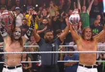 WWE Just Locked Down The Hardy Boyz In A Deal That Goes Way Beyond The Video Game Hardy Boyz