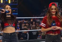 Bella Twins Headed For Massive Title Showdown On WWE SmackDown Bella Twins